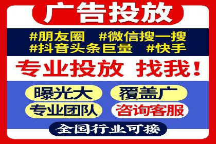 百度竞价与搜索引擎优化（SEO）结合的经典案例
